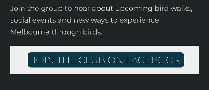 Join the group to hear about upcoming bird walks, social events and new ways to experience Melbourne through birds.
