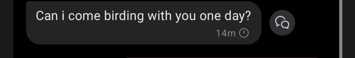 A screenshot of a sms askinf 'Can I come birding with you one day? '