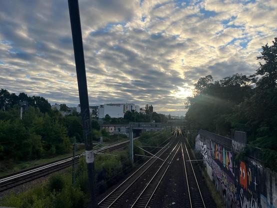 Tracks in the morning light