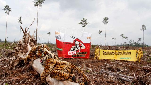 #News: Endless #economic #growth on a finite planet is a LIE. Here's 8 #greenwashing myths pushing #fossilfuels that drive #inequality. Fight for a system based on wellbeing and justice #HumanRights #AnimalRights #Boycott4Wildlife 🌍🛑 https://johnmenadue.com/post/2026/07/eight-economic-myths-that-are-helping-destroy-our-future/?utm_source=mastodon&utm_medium=Palm+Oil+Detectives&utm_campaign=publer
