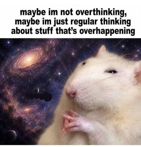 À rat who looks suspiciously like the I give you receive man, but the caption is “maybe im not overthinking, maybe im just regular thinking about stuff that's overhappening”