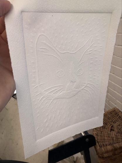 A sheet of paper with the imprint of a cat embossed into it