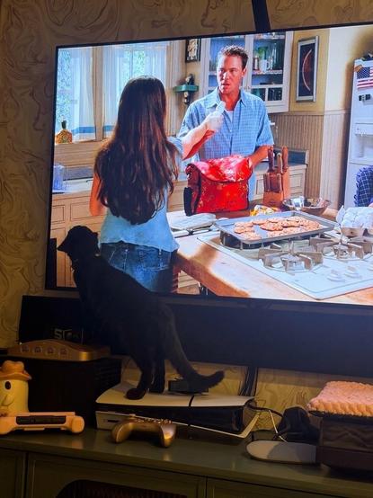 a living room entertainment center. in the foreground, a black cat named salem is standing on a media console, looking up at a large flat-screen tv that is displaying a scene from a television show. the tv shows a man and a woman in a kitchen, with consoles, including a ps5 and an analogue n64, along with game controllers and a small character figure, are visible below the tv