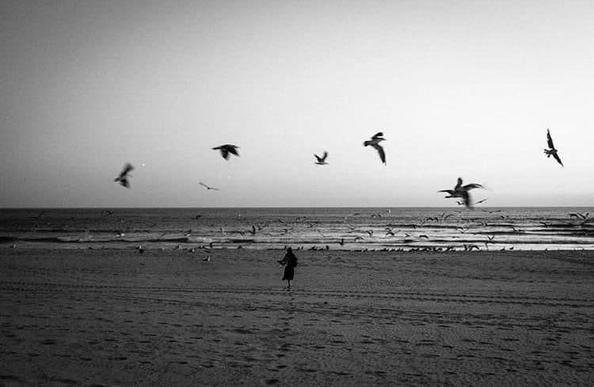 la ronde des oiseaux volant au dessus d'une silhouette féminine sur la plage dans le petit matin