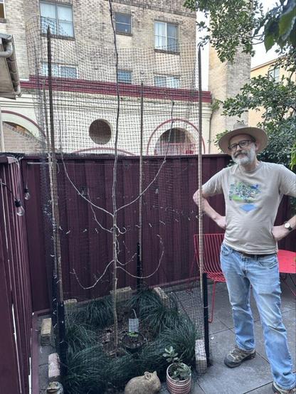 A man standing next to a spindly tree, which is encased in netting supported by tall wooden poles