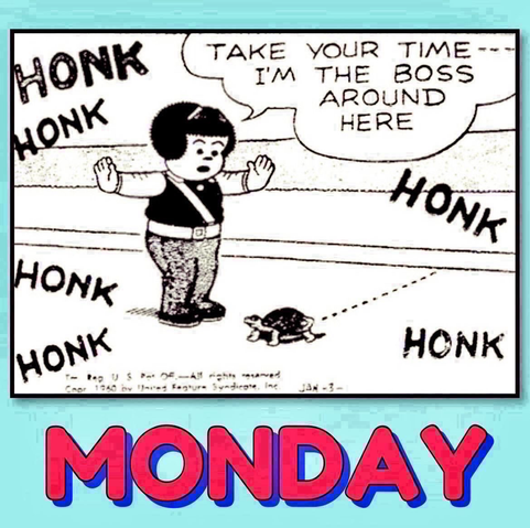 HONK HONK   TAKE YOUR TIME… I’M THE BOSS AROUND HERE  HONK  HONK  HONK HONK  NANCY IS THE SCHOOL CROSSING GUARD, AND SHE HAS STOPPED TRAFFIC, TO ALLOW A TURTLE TO CROSS THE ROAD