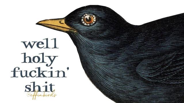 A painting of a bird beside the text "well holy fuckin' shit"