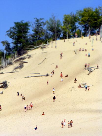 A tilt-shift photo of a large sand dune, with people climbing it, and trees at the top.

The tilt shift effect makes it look like a miniature diorama.