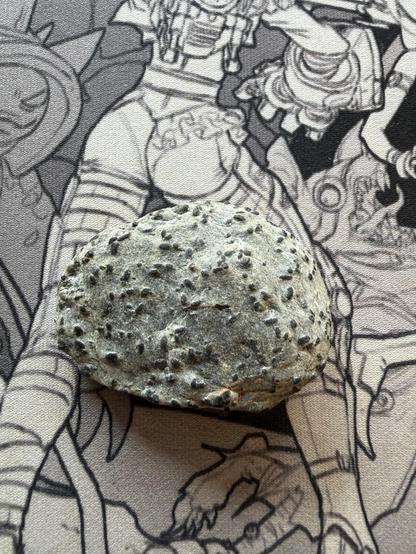 further out shot showing the entire specimen with a light gray bulk and black nodules
