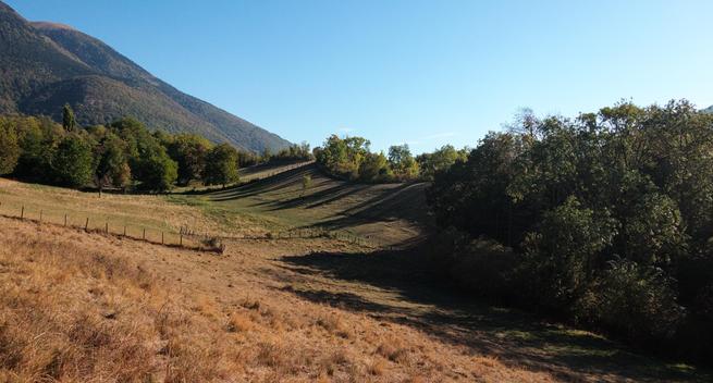 Un panorama valloné de champs et de forêts. L'herbe au premier plan est bien roussie, tandis que sur le reste du champ les ombres des arbres commencent à s'allonger. Le ciel est d'un bleu éclatant et une montagne est visible en arrière-plan.