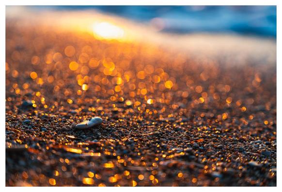 Ein Steinchen im feuchten Strand bei Sonnenuntergang.