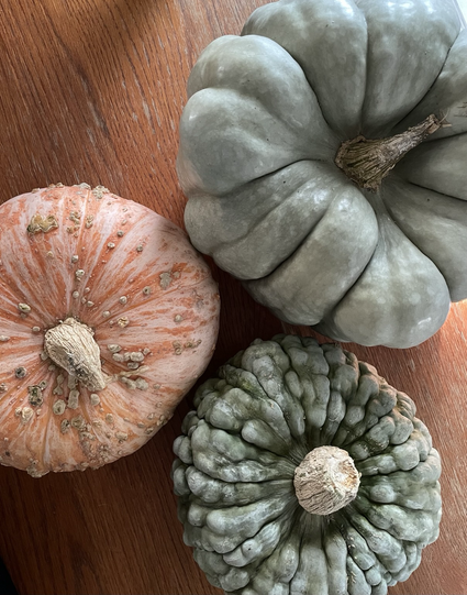 Three large pumkins on a wooden table. POV from above. One is green and smooth, large lobes. Second is pink and orange with bumps that look like peanuts. Third is jade green with many folds and ripples.