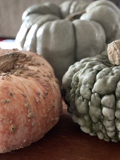 Same three pumpkins. In portrait mode to show height differences. Gentle light.