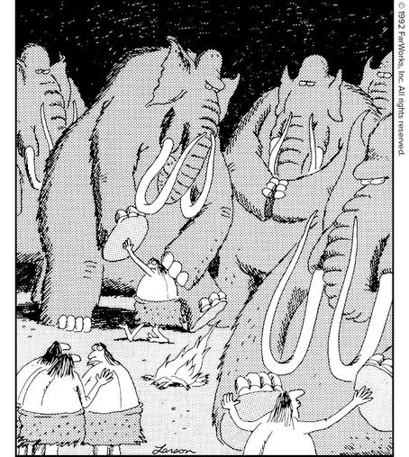Image attached toot