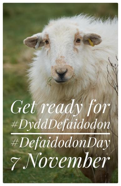 A cream coloured long-fleeced sheep looking directly at the camera. There is text over it which says

Get ready for
#DyddDefaidodon
#DefaidodonDay
7 November
