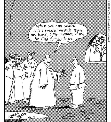 Image attached toot