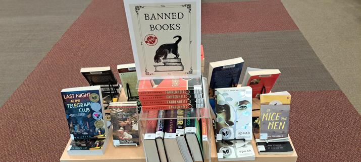 Banned Books at the library display.
Cat looking down art.

Stacks of books "they" want to ban.
We can read them all.