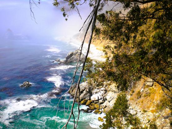 Marine layer receding in the background from the rocky shoreline and cliffs of Big Sur with different shades of blues and greens in the water as the waves develop white caps as they break near the shore. A tree branch hangs down from the top of the frame in the foreground with other branches of the tree lining the right side of the frame.