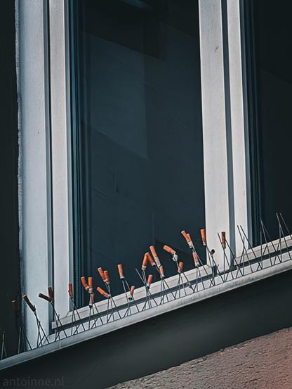 An eye-level shot capturing a metal window sill mounted with anti-roosting spikes, where numerous discarded cigarette butts are impaled on the vertical metal wires. The window features vertical white frames and dark glass panes, reflecting a muted, cool-toned light.