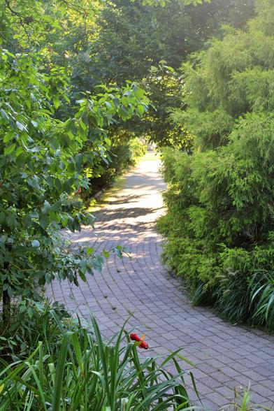 Shady paver path in the foreground leading into a sunlit area ahead with bushes, trees and other vegetation along both sides.