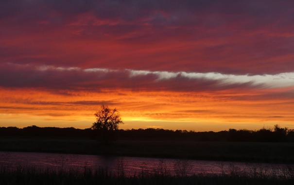 Sonnenaufgangsfeuerwerk am Himmel, die Elbe spiegelt Lila