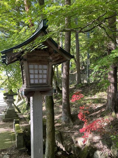 Fall colors at Hie shrine