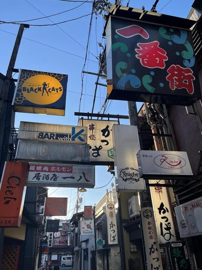Assorted bar signs