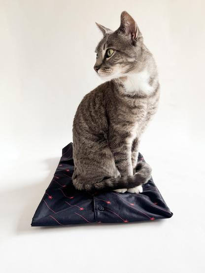 A grey tabby sits on a black button-down shirt with a pattern of red laser beams on it