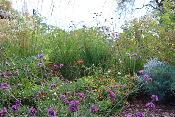 Hillside flowerbed of purple, orange, yellow and white blooms with sky and trees in the background.