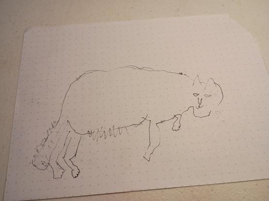 very poorly drawn cat