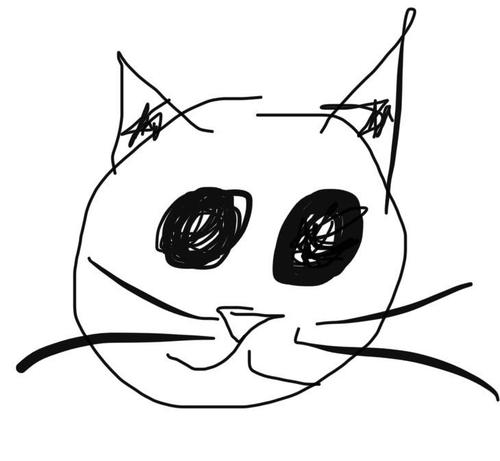 A simple sketch of a cat's face, featuring large circular eyes, pointy ears, and whiskers. The lines are bold and uneven, giving it a childlike quality.