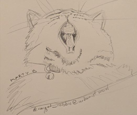A drawing of a cat yawning, nose in the air and a bell hanging off his collar