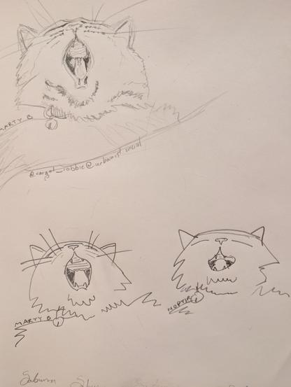 Three drawings of a yawning cat, decreasing in effort and quality counter clockwise