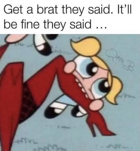 Powerpuff girl biting on a person's leg. 
A caption above says:
Get a brat they said. It'll be fine they said.