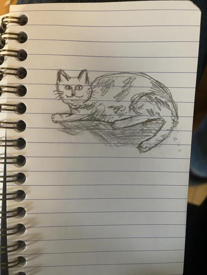 A quick pencil drawing of a gray and white spotted cat that is not as anatomically accurate as I’d like, but is still at least recognizable as a cat. Precisely no “AI” was involved in its creation.