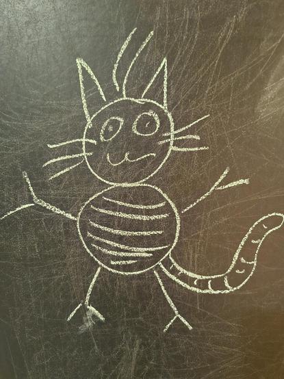 A cat in chalk.