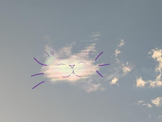 A photo of an iridescent cloud in a blue sky. The cloud has purple lines accenting the kitty-like shape of the cloud. Whiskers, ear tufts, and closed eyes over a triangle nose and upturned mouth show a contented kitty.