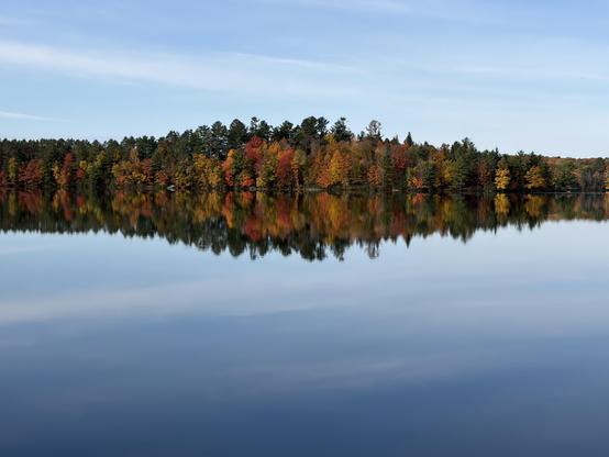 The tree line from across the lake with the leaves in full color and reflection on the still water in mirror image.