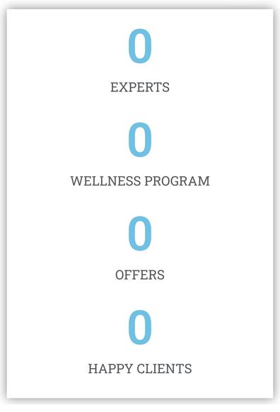 A page that is clearly supposed to show some statistics for a service, but it just says "0 experts, 0 wellness program, 0 offers, 0 happy clients"