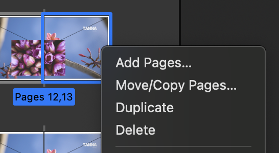Affinity contextual menu that invites disaster with a slip of the mouse.