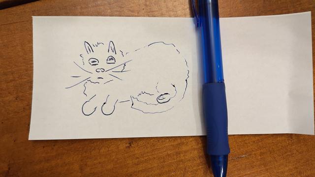 a photo of a hand drawn fluffy cat on a wooden table, the drawing implement (a pen) lies on the paper beside the drawing