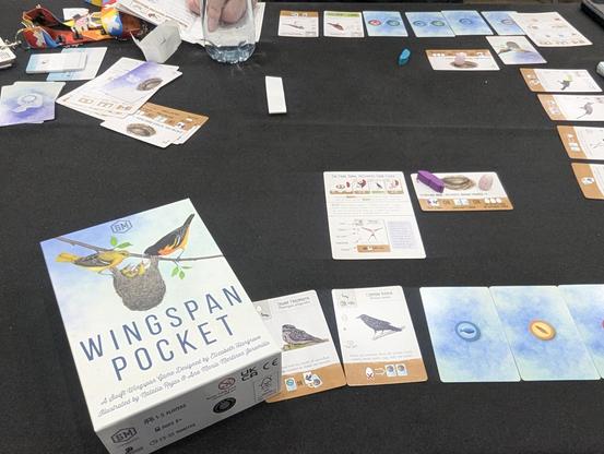 Two people (not pictured) playing Wingspan pocket