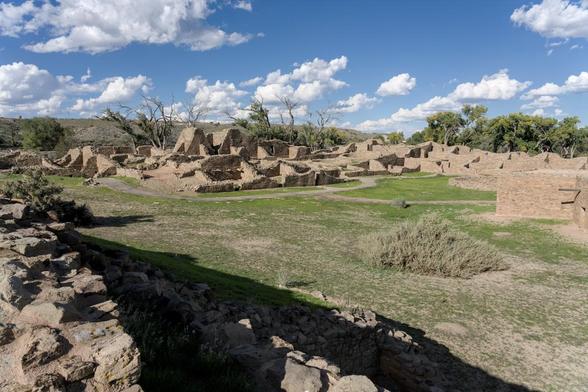 A color landscape photo of an ancient Native-American pueblo. The buildings have not been used by the living for over 800 years. All of the roofs are gone but it was a large, multistory complex. The open areas in front of the structures are bright with fresh green grass. There is a line of large old, some nearly dead, trees behind the structures. The sky is bright blue with lots of puffy white clouds.