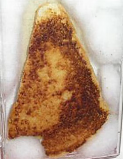 In 2004, this 10-year-old grilled cheese sandwich sold for $28,000. Some day the pattern of toasting makes it look like the Virgin Mary's image is in the sandwich.
