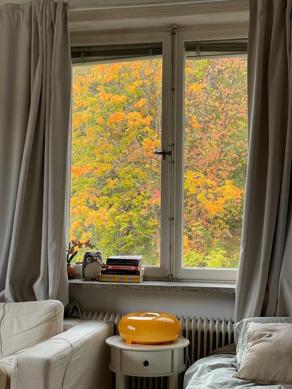 Autumn colours outside a window in a flat in Sweden.