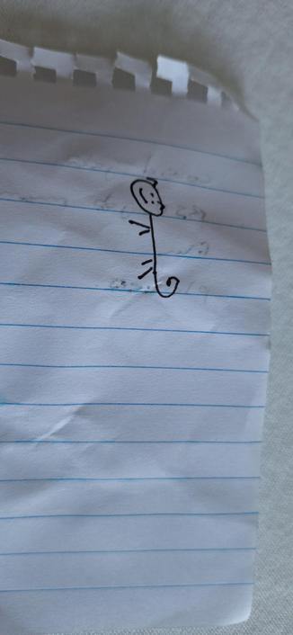 A hastily drawn stick cat