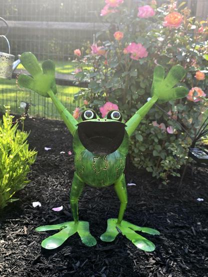 A very happy metal frog in a garden bed near plants and pink roses