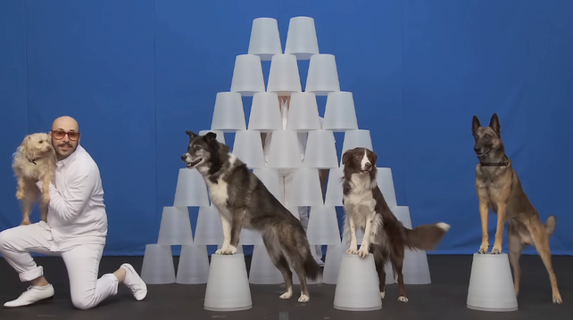 OK Go spent 124 takes working through an elaborate continuous-shot routine with an ensemble of rescue dogs for their 2010 White Knuckles music video.