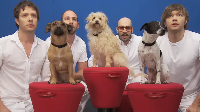 OK Go spent 124 takes working through an elaborate continuous-shot routine with an ensemble of rescue dogs for their 2010 White Knuckles music video.