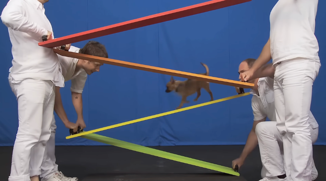 OK Go spent 124 takes working through an elaborate continuous-shot routine with an ensemble of rescue dogs for their 2010 White Knuckles music video.